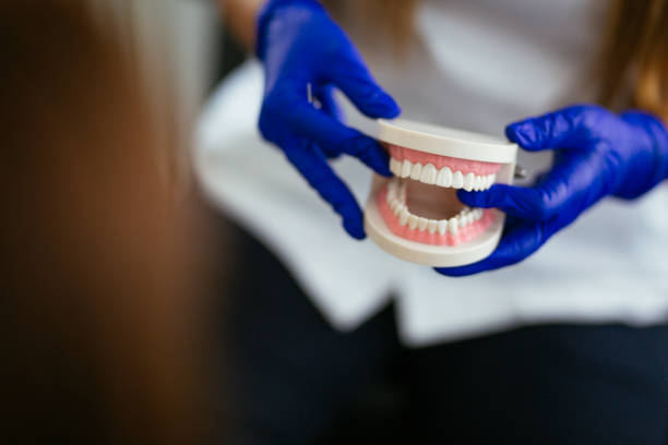 Best Pediatric Dentistry  in Southgate, FL