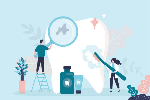 Best Traditional Braces  in Southgate, FL