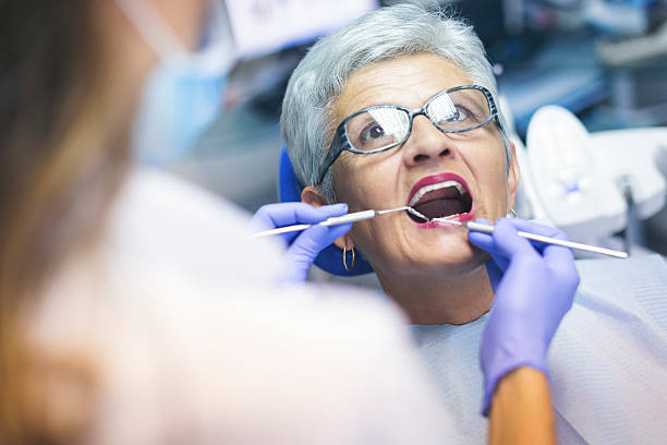 Trusted Southgate, FL  Holistic Dental Services Experts